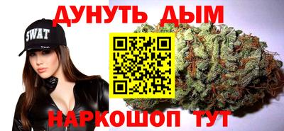 шишки Лесосибирск