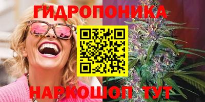 шишки Лесосибирск
