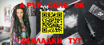 шишки Лесосибирск