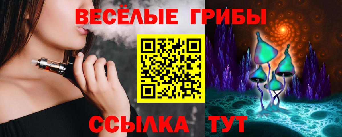 Псилоцибиновые грибы GOLDEN TEACHER  Вход с VPN  цены наркотик  Городец 